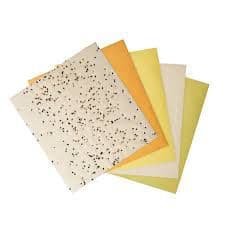 Sub Soy Sheet